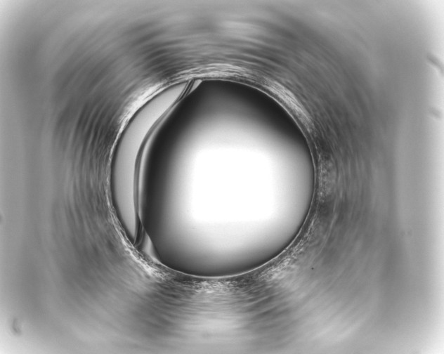 X0000093440850200711021052