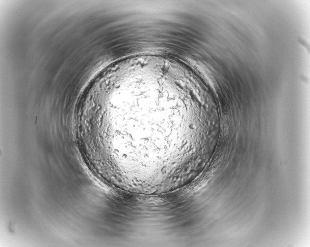 X0000093440851200711021052