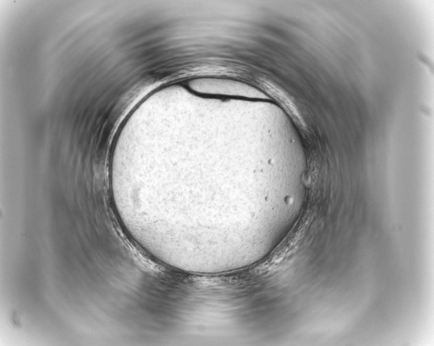 X0000093440852200711021052