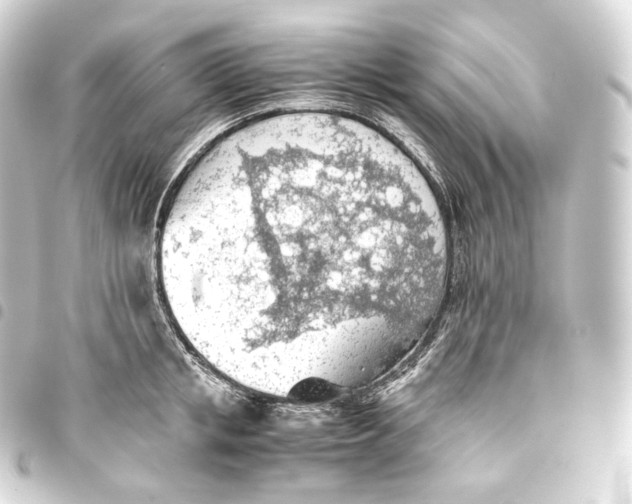 X0000093440853200711021052