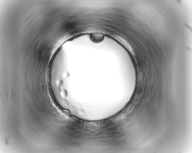 X0000093440855200711021052