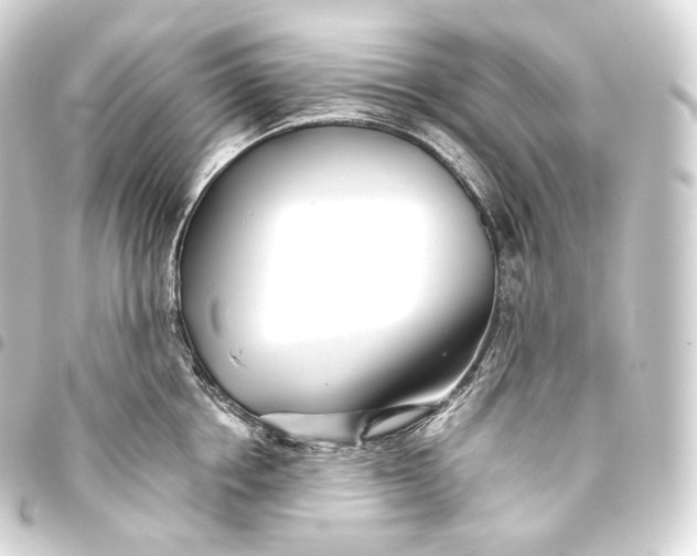 X0000093440858200711021053