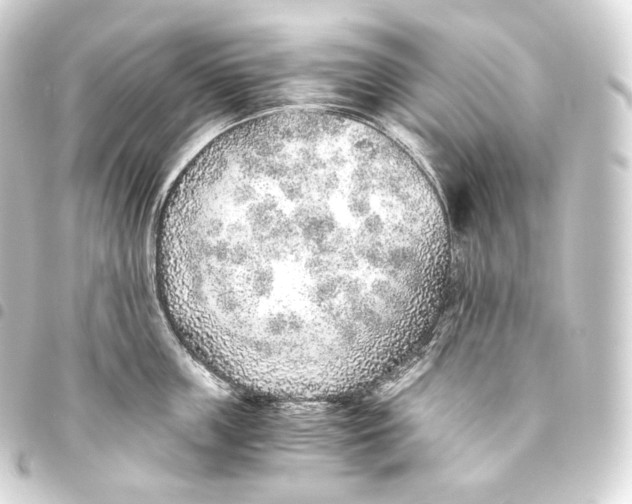 X0000093440859200711021053