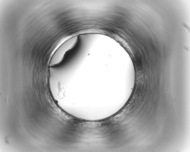 X0000093440860200711021053