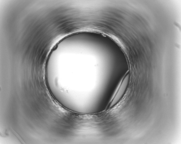 X0000093440862200711021053