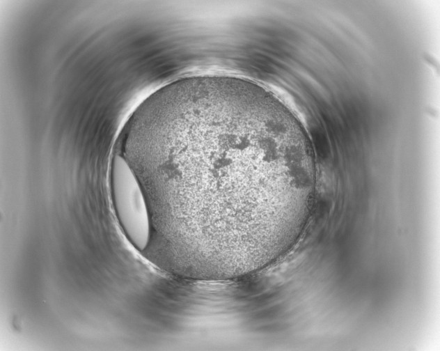 X0000093440863200711021053