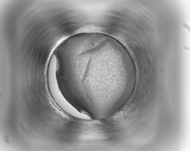 X0000093440864200711021053