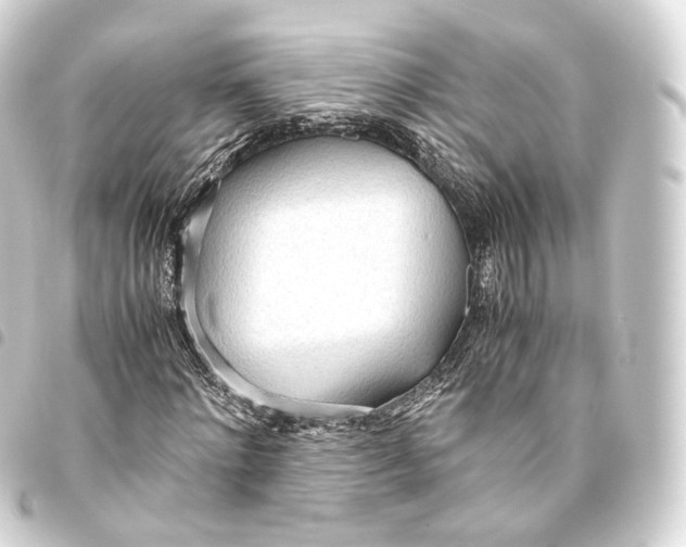 X0000093440868200711021052