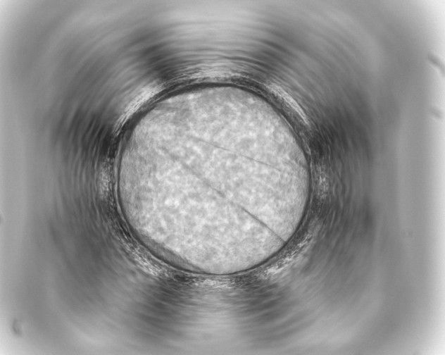 X0000093440874200711021052