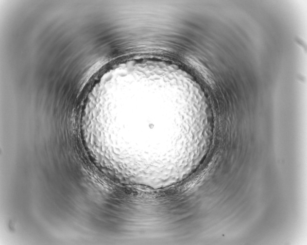 X0000093440875200711021052