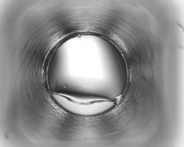 X0000093440876200711021052