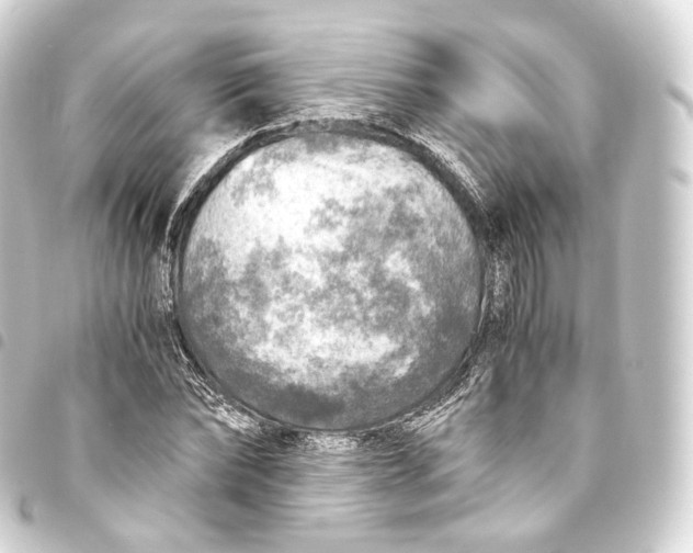 X0000093440878200711021052