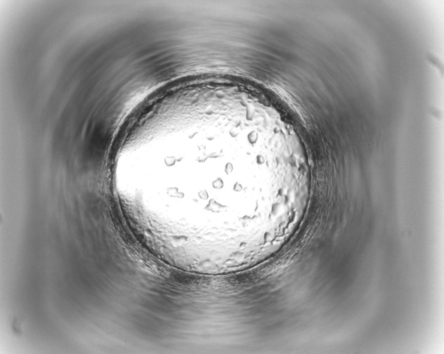 X0000093440879200711021052