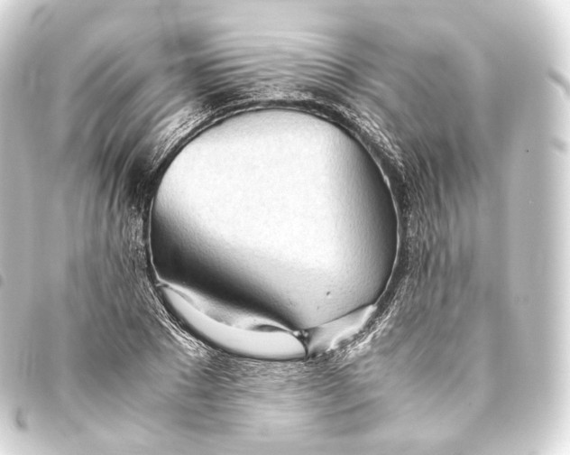 X0000093440881200711021052