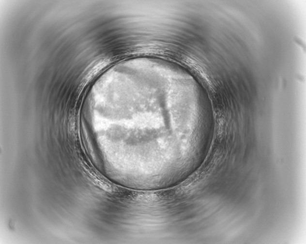 X0000093440882200711021052