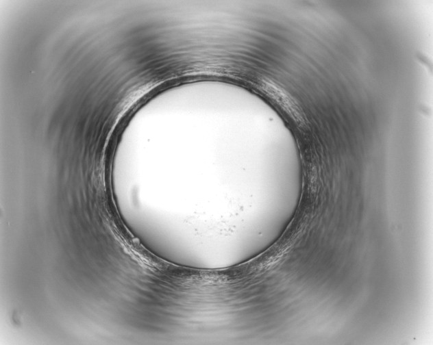 X0000093440884200711021052