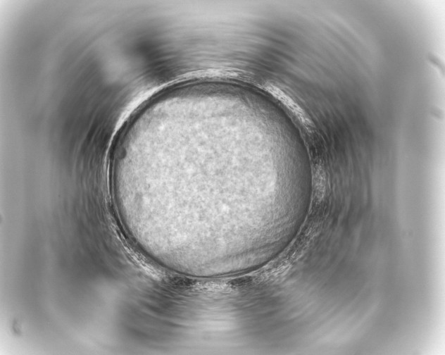 X0000093440886200711021052