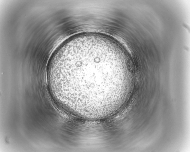 X0000093440887200711021052