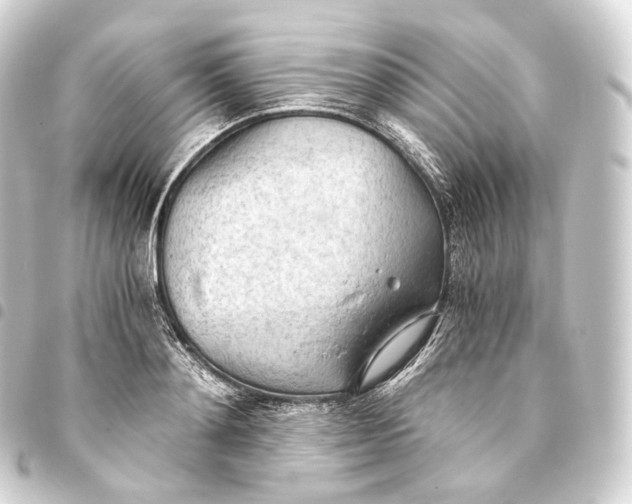 X0000093440892200711021052