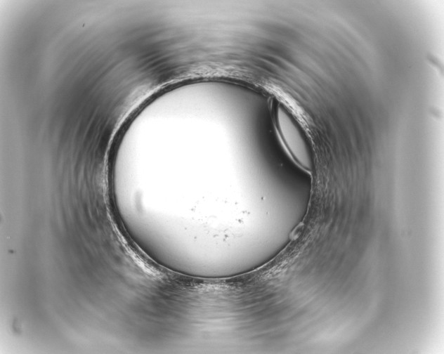 X0000093440894200711021052