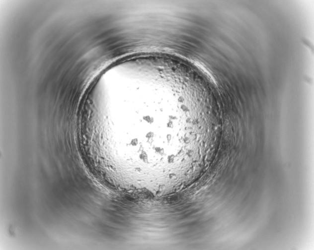 X0000093440895200711021052