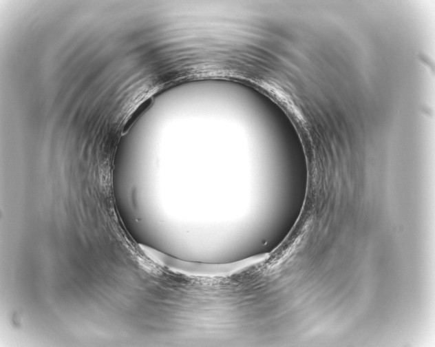 X0000093440897200711021051