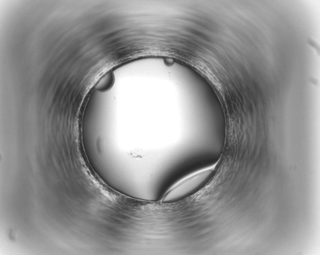 X0000093440898200711021051