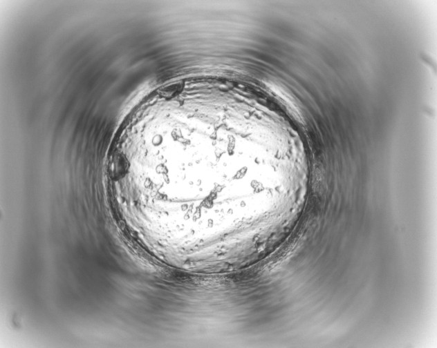 X0000093440899200711021051