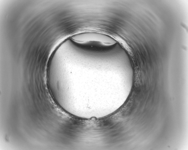 X0000093440904200711021051