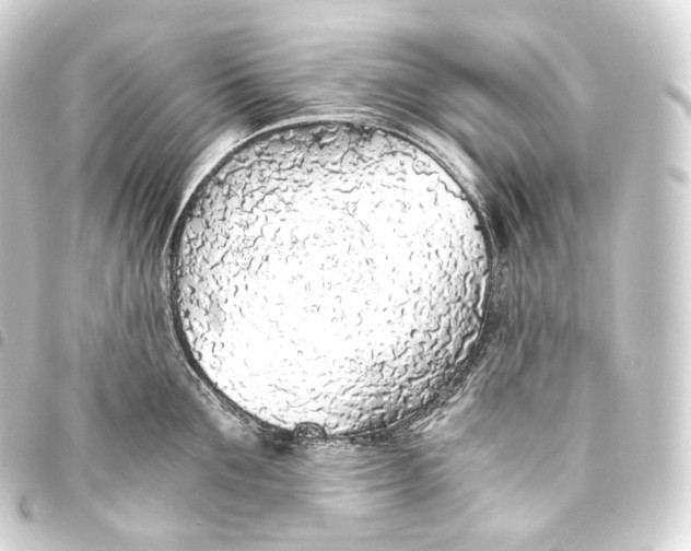 X0000093440907200711021051