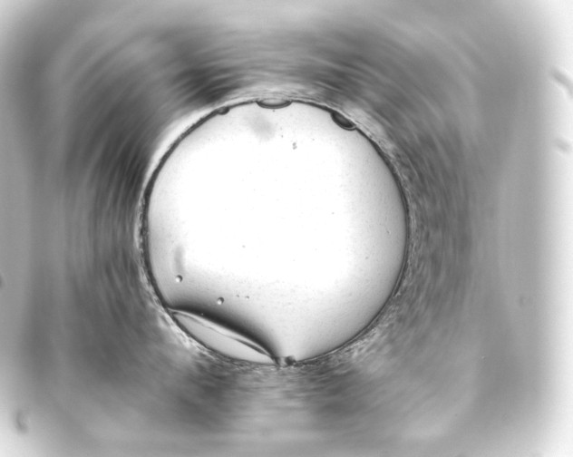 X0000093440912200711021051