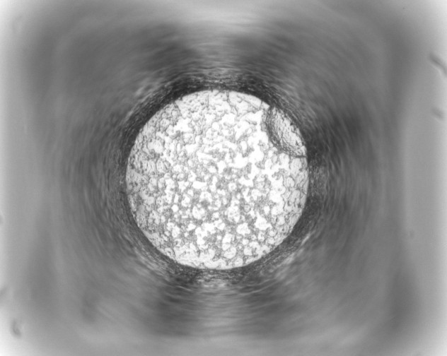 X0000093440913200711021051