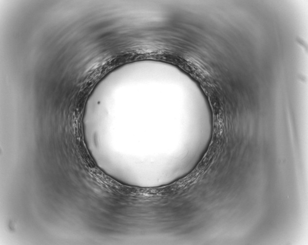 X0000093440917200711021051