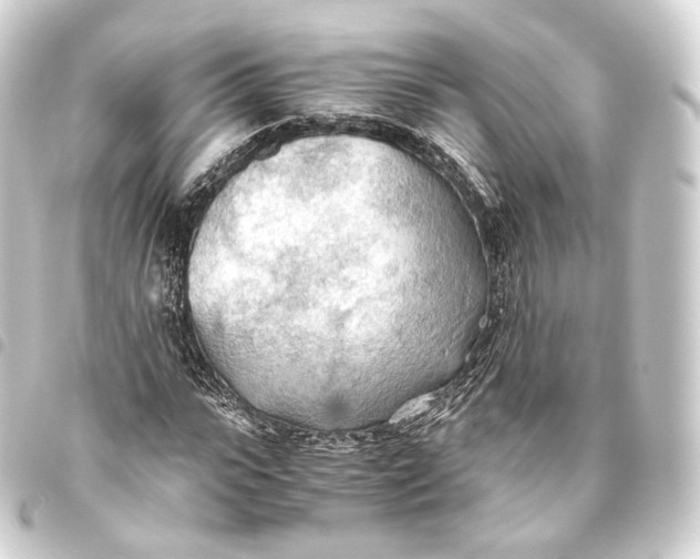 X0000093440919200711021051