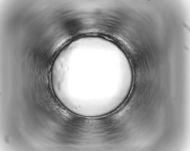 X0000093440921200711021051