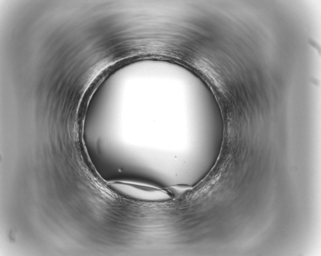 X0000093440924200711021051