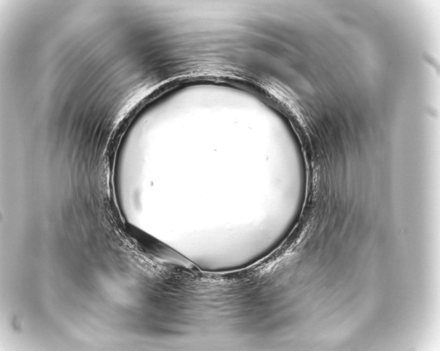 X0000093440925200711021051