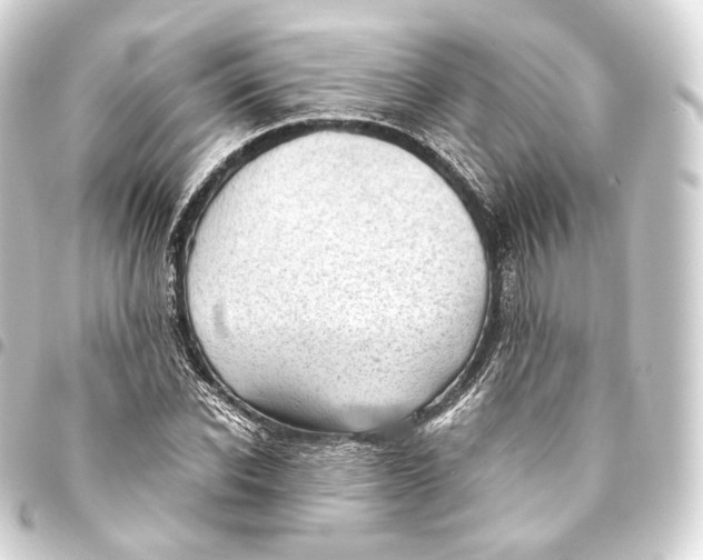 X0000093440926200711021051