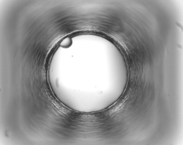 X0000093440927200711021051