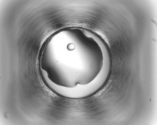 X0000093440928200711021051