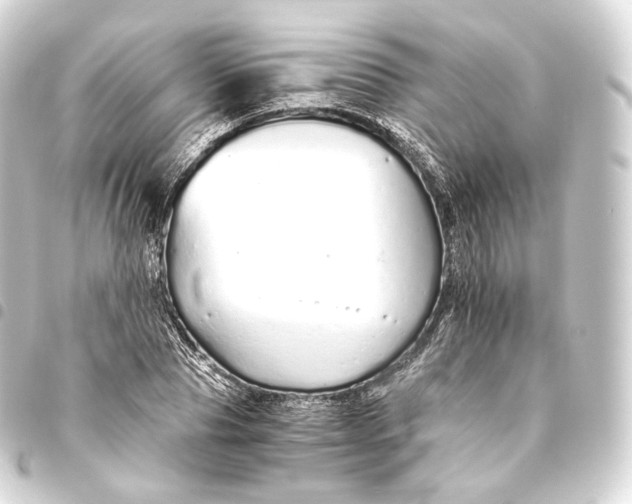 X0000093440929200711021051