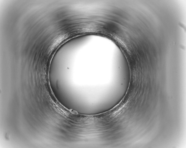 X0000093440930200711021051