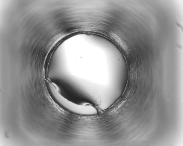 X0000093440932200711021051