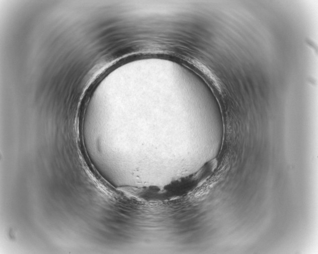 X0000093440935200711021051