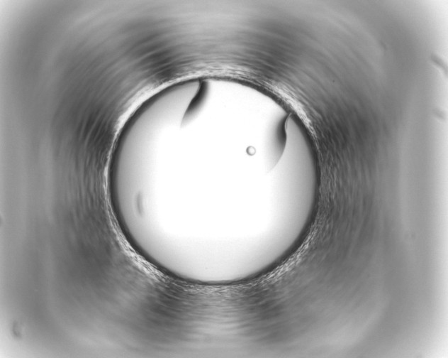 X0000093440936200711021051