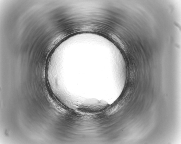 X0000093440938200711021051