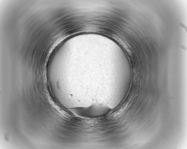 X0000093440939200711021051