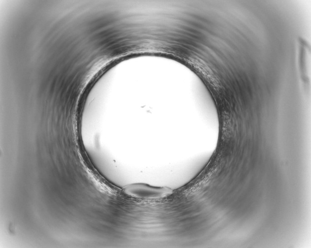 X0000093440942200711021051