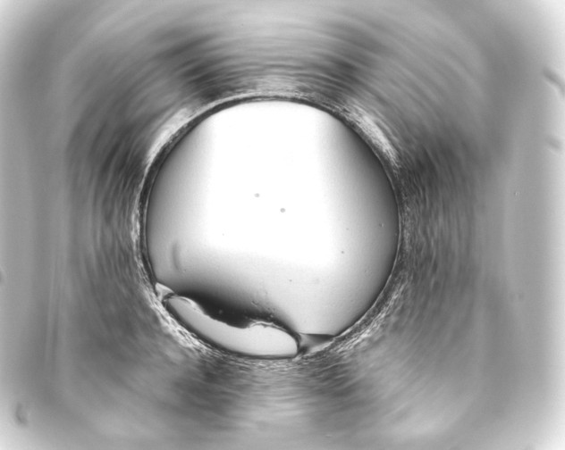 X0000093440944200711021051