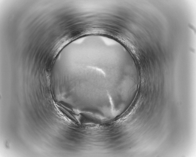 X0000093440945200711021051